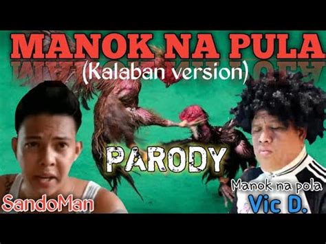 sabong manok na pula|Tawag ng tanghalan Chito Ricafrente Tinola na ang MANOK NA .